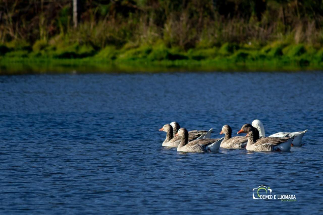 Refugio Do Lago Lages Exterior photo